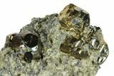Pyrite Crystals in Matrix - Nærsnes, Norway #177275-2